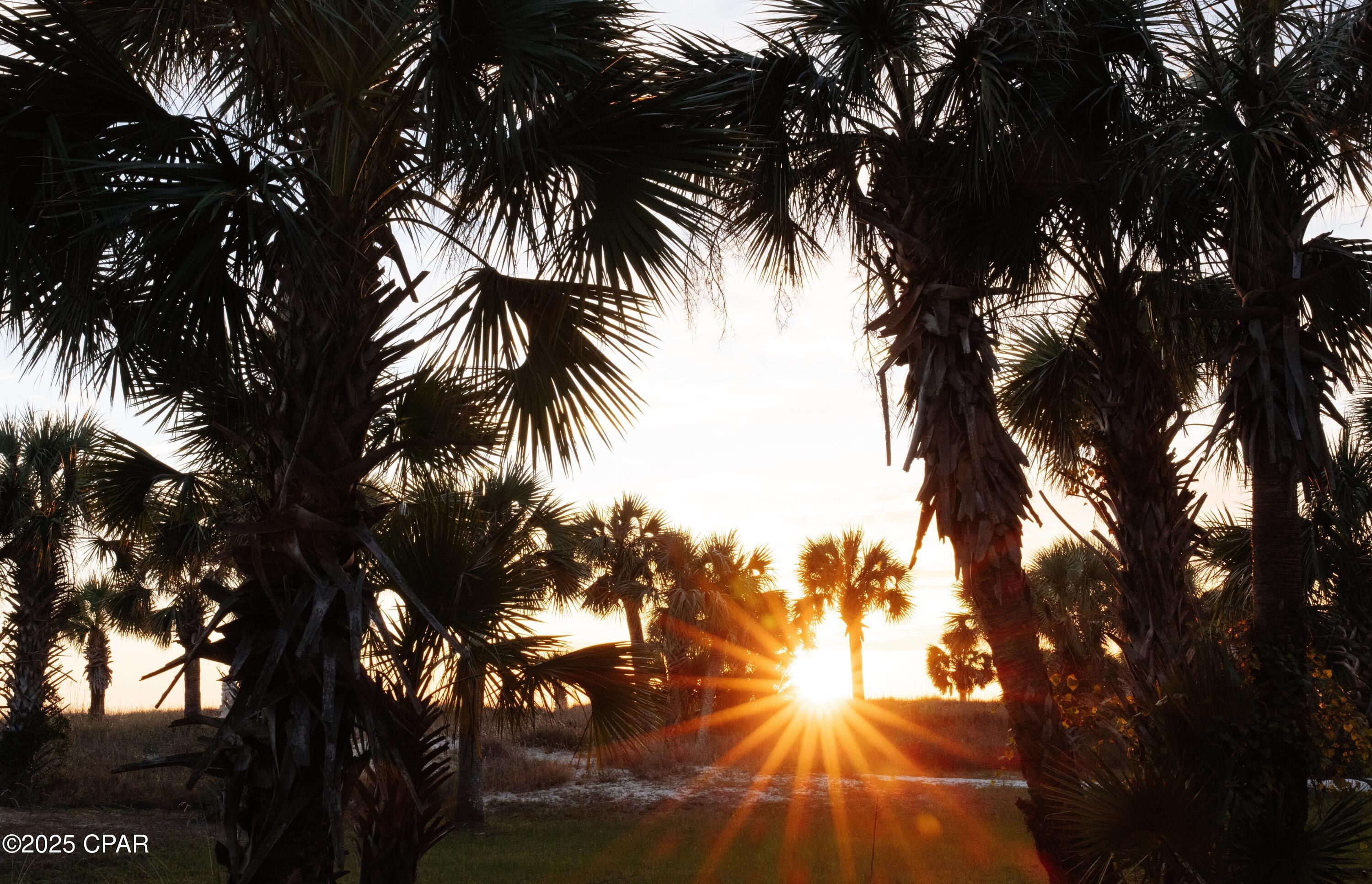 Camp Palms - Residential