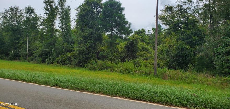 Price reduced! If you are looking for a great place to enjoy the country life, look no further. This almost 39 acres of land has two ponds, one is a cypress pond and the other is spring fed. Loaded with deer, some turkeys and no hogs. Several Fruit trees are planted for deer. Mixed 20 year old young tree forest. Zoned agricultural so taxes are low. There is a well, power pole with electricity. Only 2 miles to exit 152 on 1-10 and 10 miles to Marianna, so its close to everything you need.