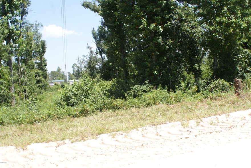 BACK ON THE MARKET...Two contiguous vacant lots located on 2nd Street in Youngstown. Property is ready for development.