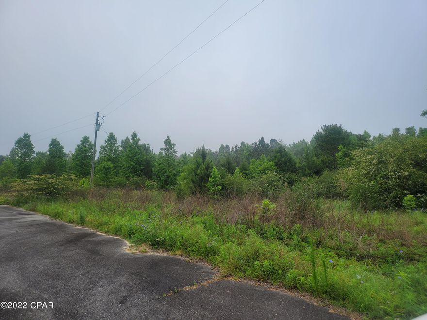 Lot 10 in Bohoma Acres. Here's your chance to take your pick between 10 lots. This lot is 1.28 +/- acre and paved road frontage. Restricted to site built homes only. Enjoy country living that's not far from town