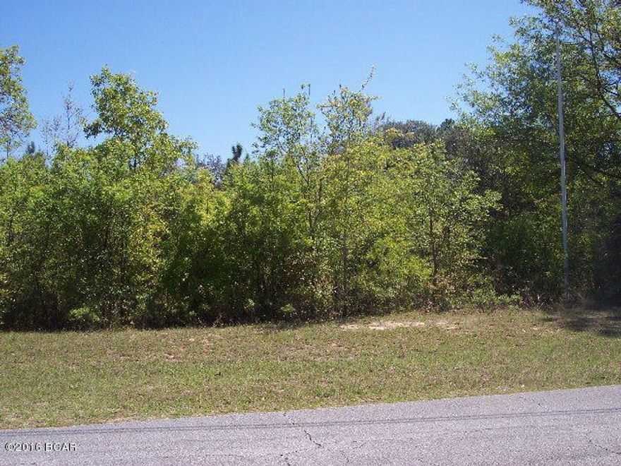 Gently sloping lot in Sunny Hills Subdivision. This lot is waterfront on beautiful Boat Lake. Many lovely, well manicured homes are in this area. the adjoining lot is also for sale. The Sunny Community offers fishing, boating, swimming, and golf. Just a short drive to Northwest Florida Beaches International airport and Panama City Beach.