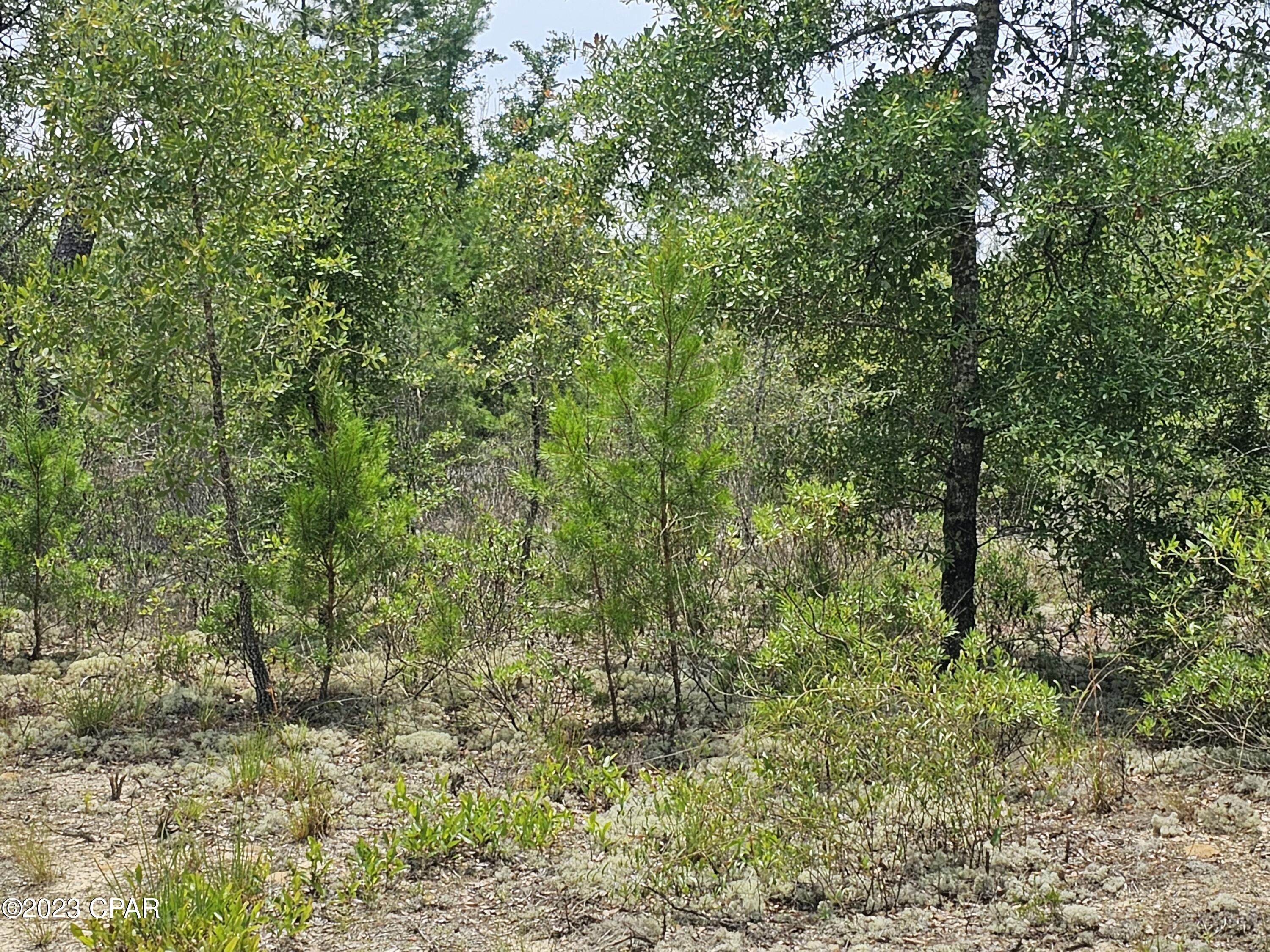 [No Recorded Subdiv] - Land