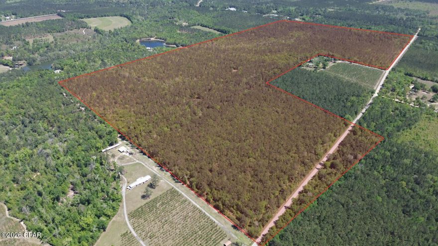 3,500' of paved road frontage on Hardaway Highway & Hardaway Road 2. Established food plot & road network. Gated entrance with code access on the south side of the property. Gadsden County Parcel ID: 2-28-3N-5W-6910-00000-0010