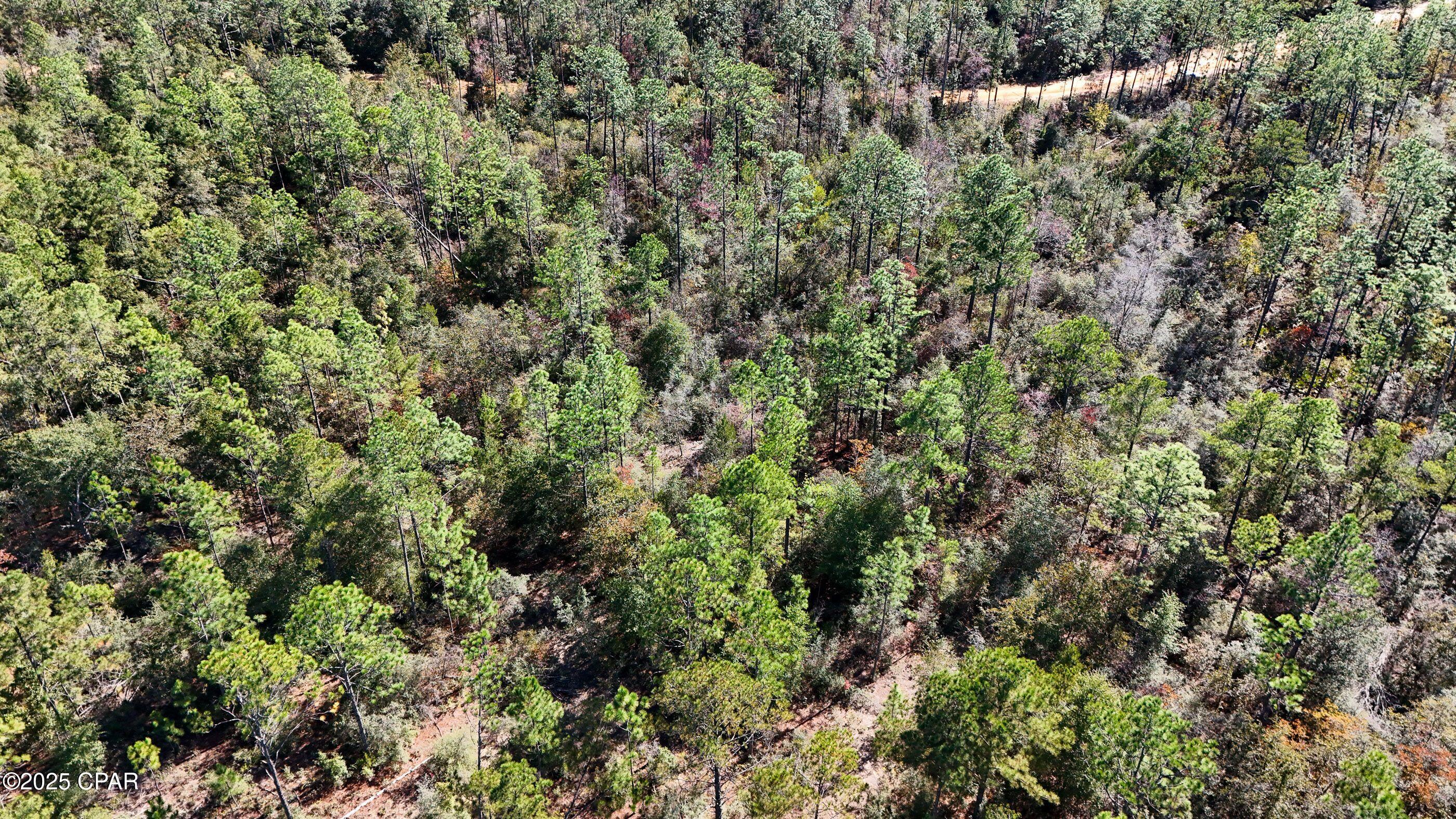 Compass Lake Hills Unit 4 - Land