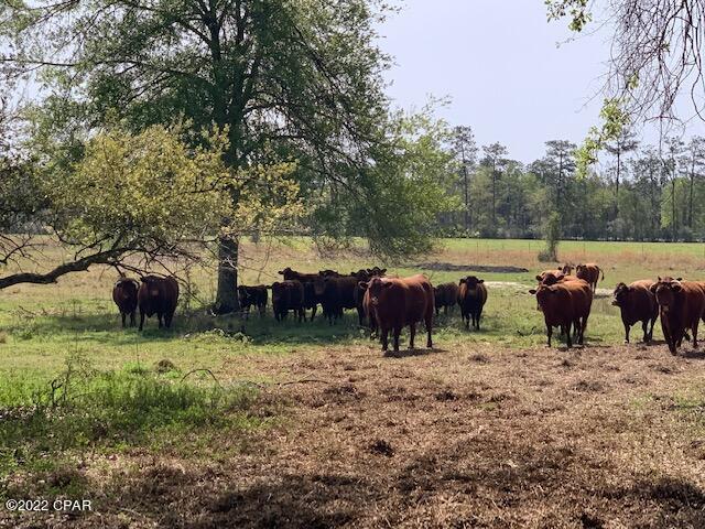 No Named Subdivision - Land