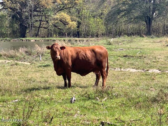 No Named Subdivision - Land