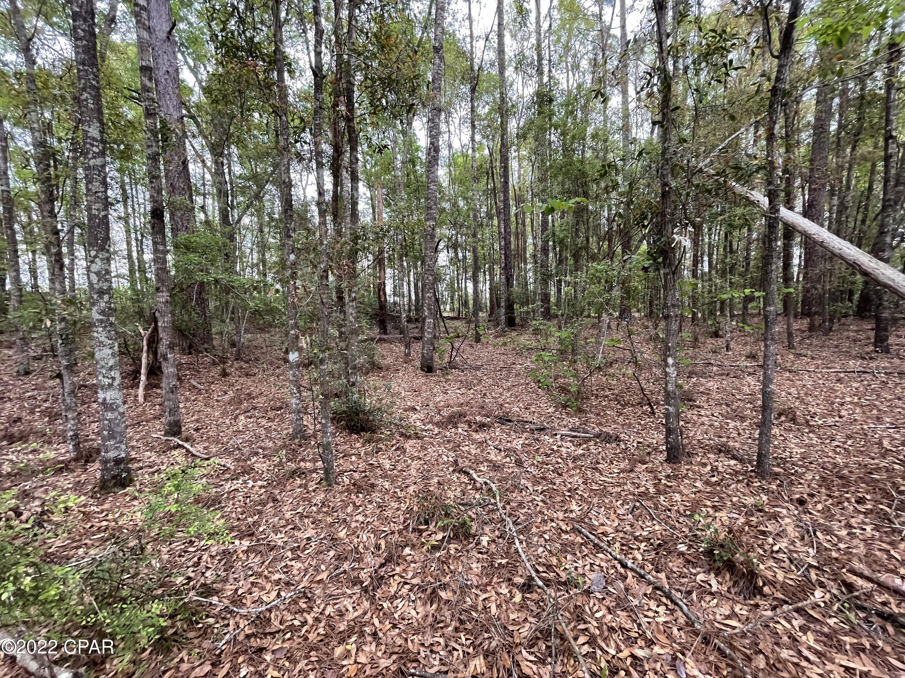 [No Recorded Subdiv] - Land