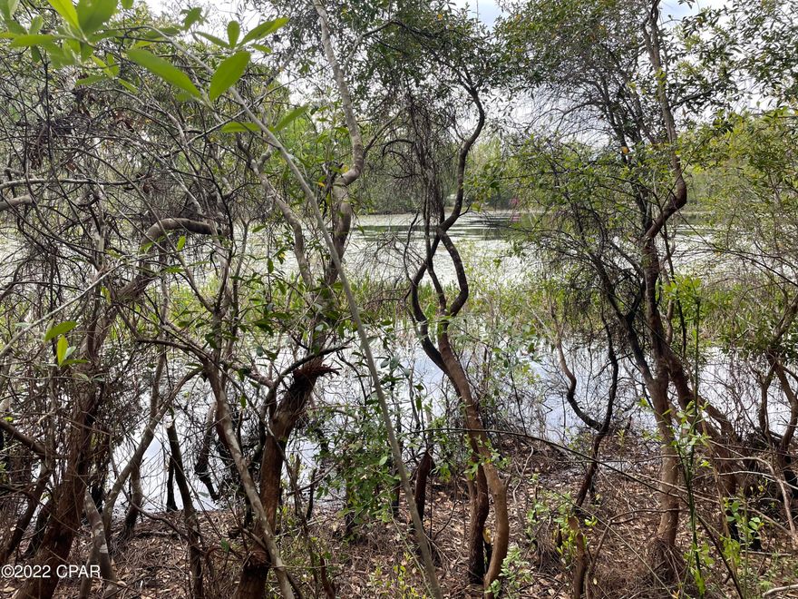 Waterfront and country living! Check out this one acre lot located on a small lake and only minutes from the Choctawhatchee River. Would be the perfect spot for a homesite or a fish camp. There are believed to be two old wells and two old septic tanks on the property from mobile homes that used to be there 55 years ago. They are old and likely do not work- buyers do own due diligence. Buyer to pay owner's title policy and title fees.