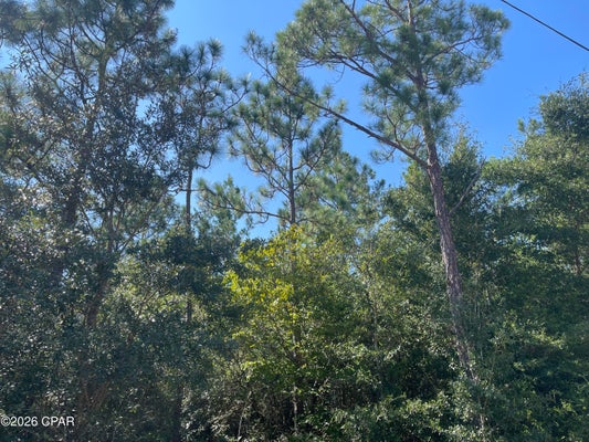 CROSSVINE CT, CHIPLEY, FL 32428 - Image f8f4db8b03bda27fb01ea2df6348de0b/3841058770