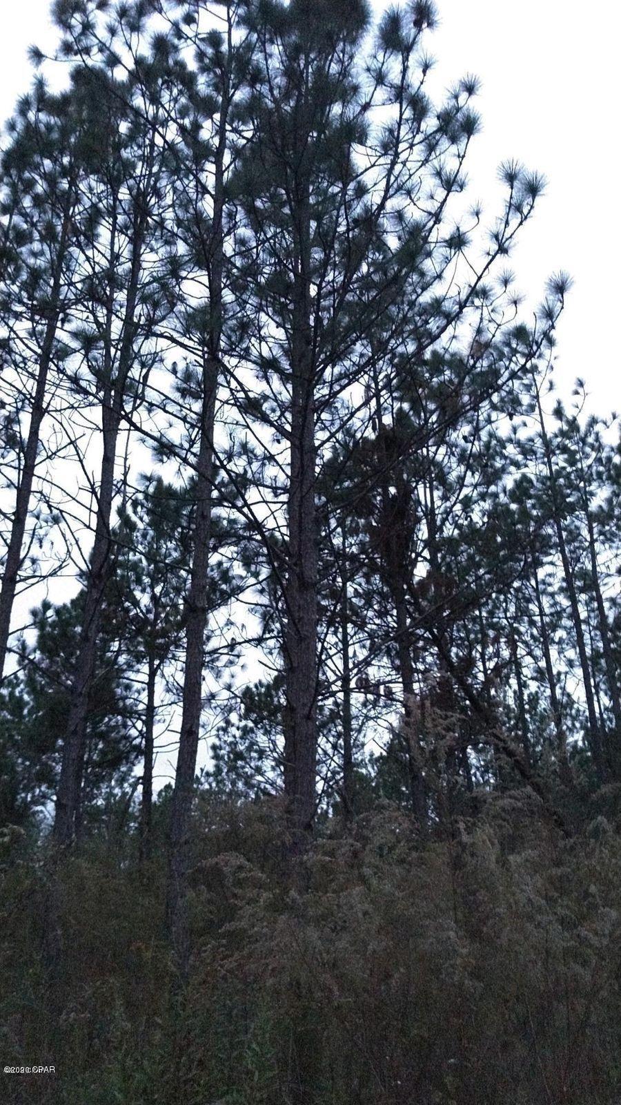 [No Recorded Subdiv] - Land