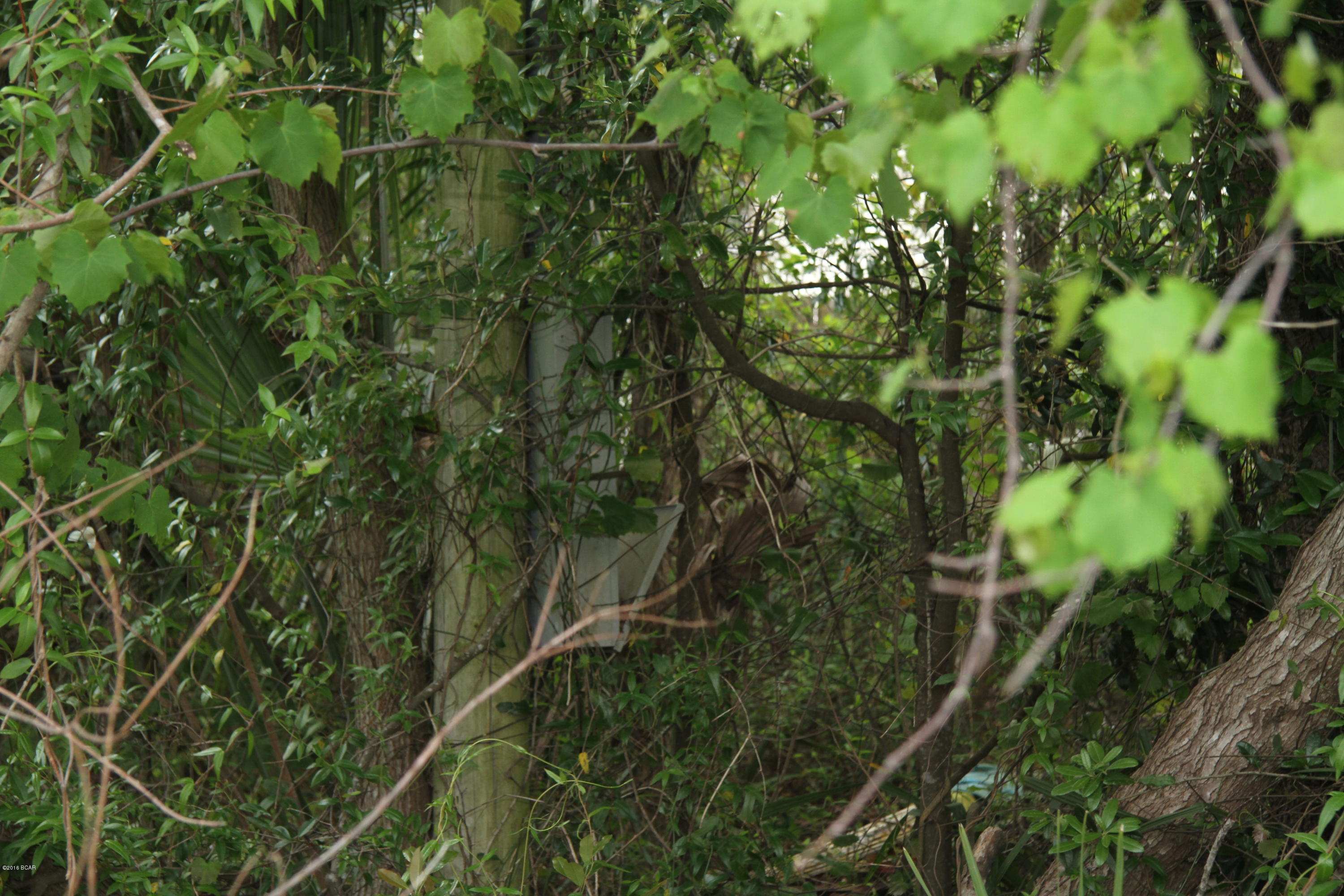 Laguna Beach Estates 7th Add - Land