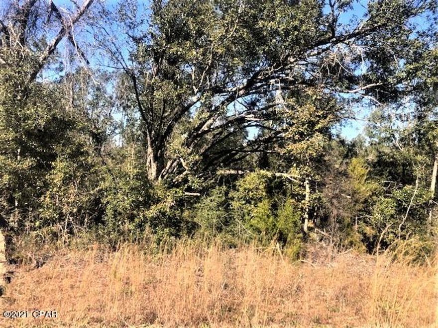 Large  wooded residential building lot in lovely Compass Lake in the Hills.  With lot ownership you have access to two lakes clubhouse facilities, golf driving range, cabin rentals and more.   It is only a short drive down to Panama City on the coast.  Marianna is to the north for shopping.