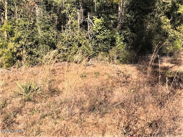 Compass Lake Hills Unit 3 - Land