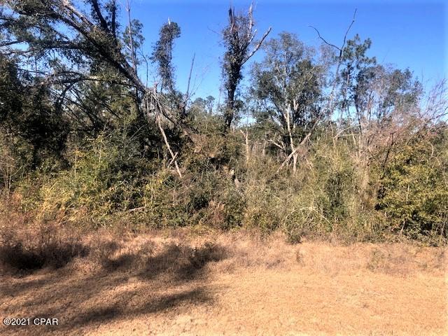 Compass Lake Hills Unit 3 - Land