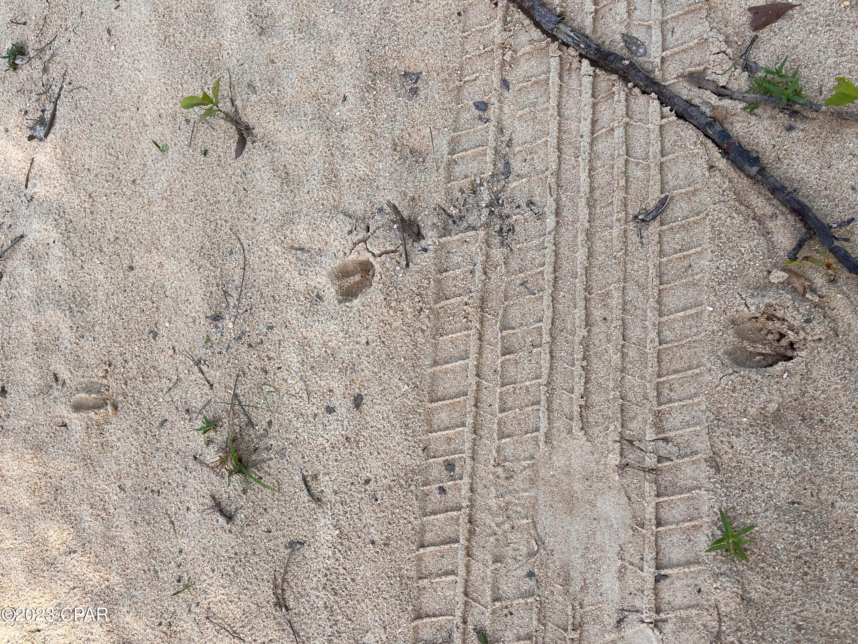 Compass Lake Hills Unit 5 - Land