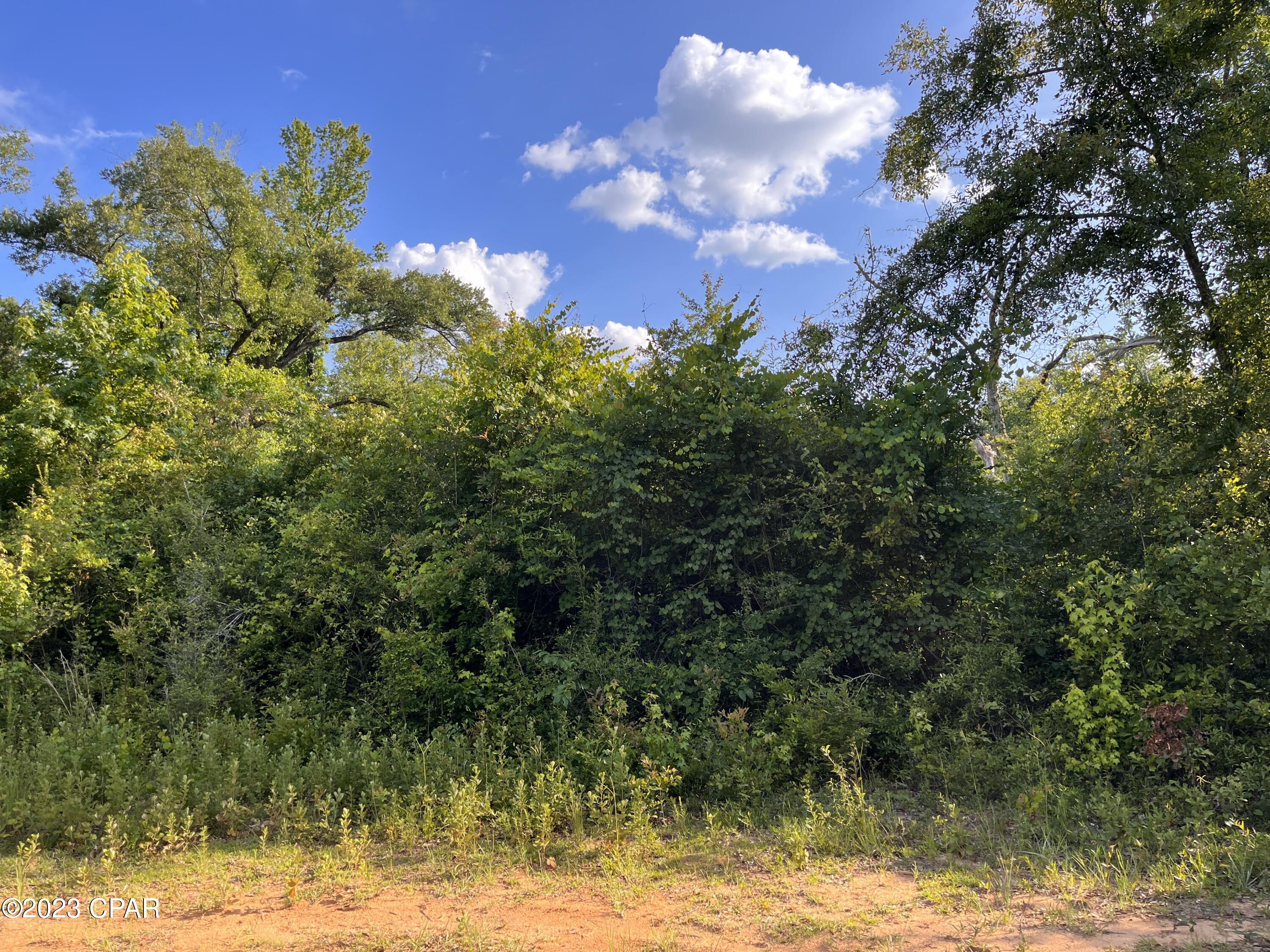 Compass Lake Hills Unit 5 - Land