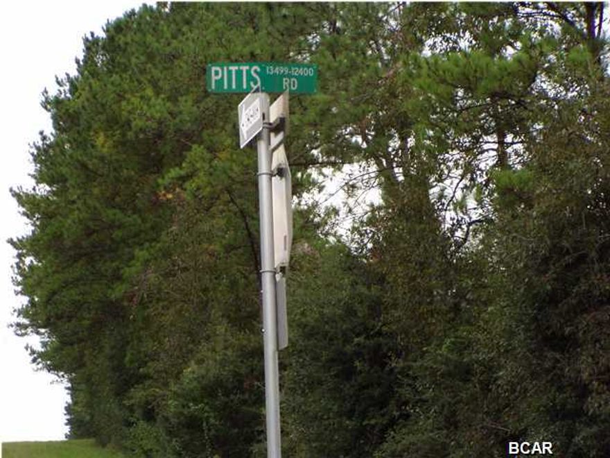 Horse Country 40.5 acres-can be divided into 4-10 acre mini farms too according to plan/zoning. well,septic,power pole on property from old mobile home & small stream of Econfina runs thru as well. Beautiful Sunsets too. Will split up into mini farm tracts or sell whole parcel. 2 outbuildings. Lots of Wildlife too. Bring your cows, chickens for fresh eggs, goats or use for your 4 wheelers. Lots of possibilities!