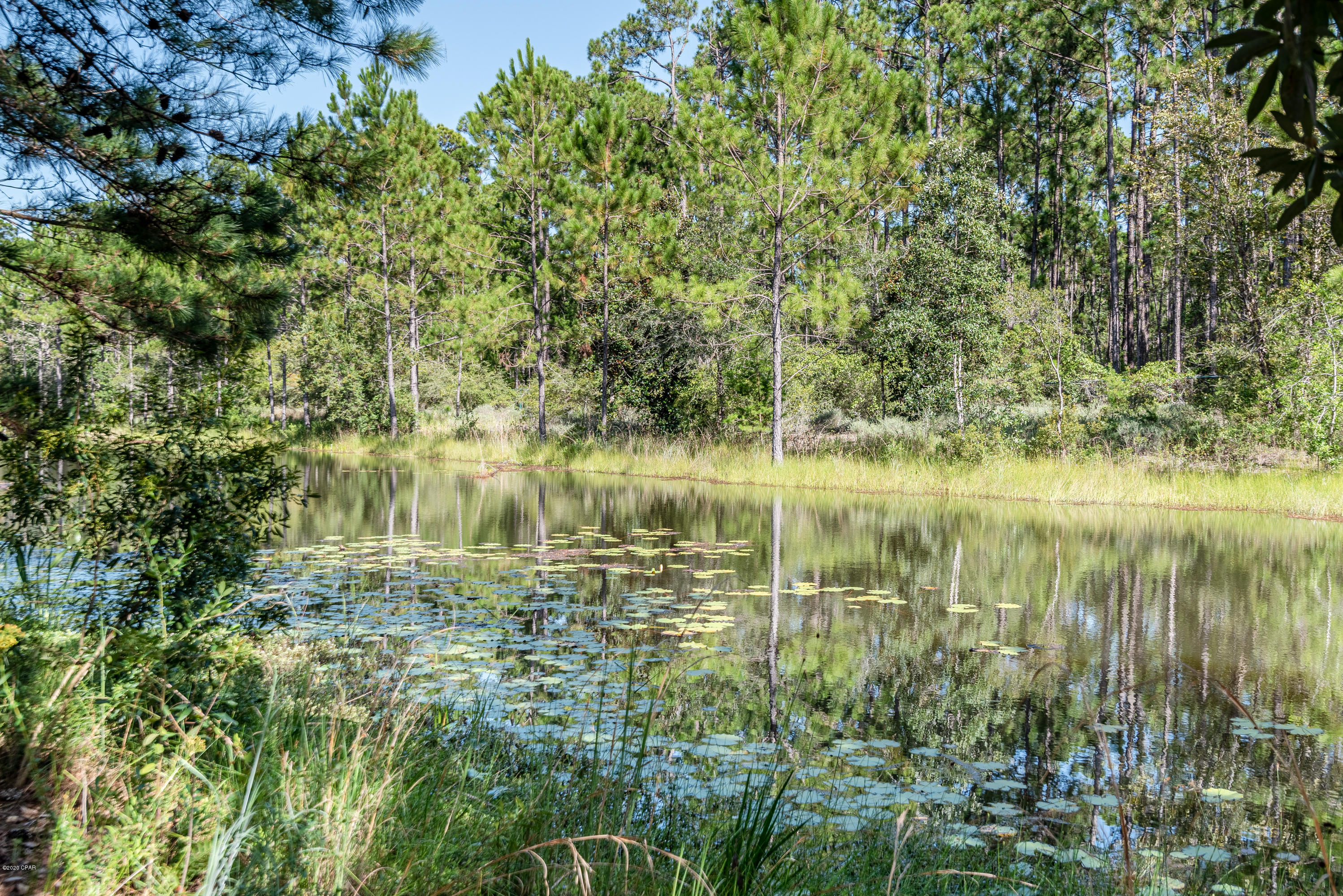 Wild Heron Phase I - Residential