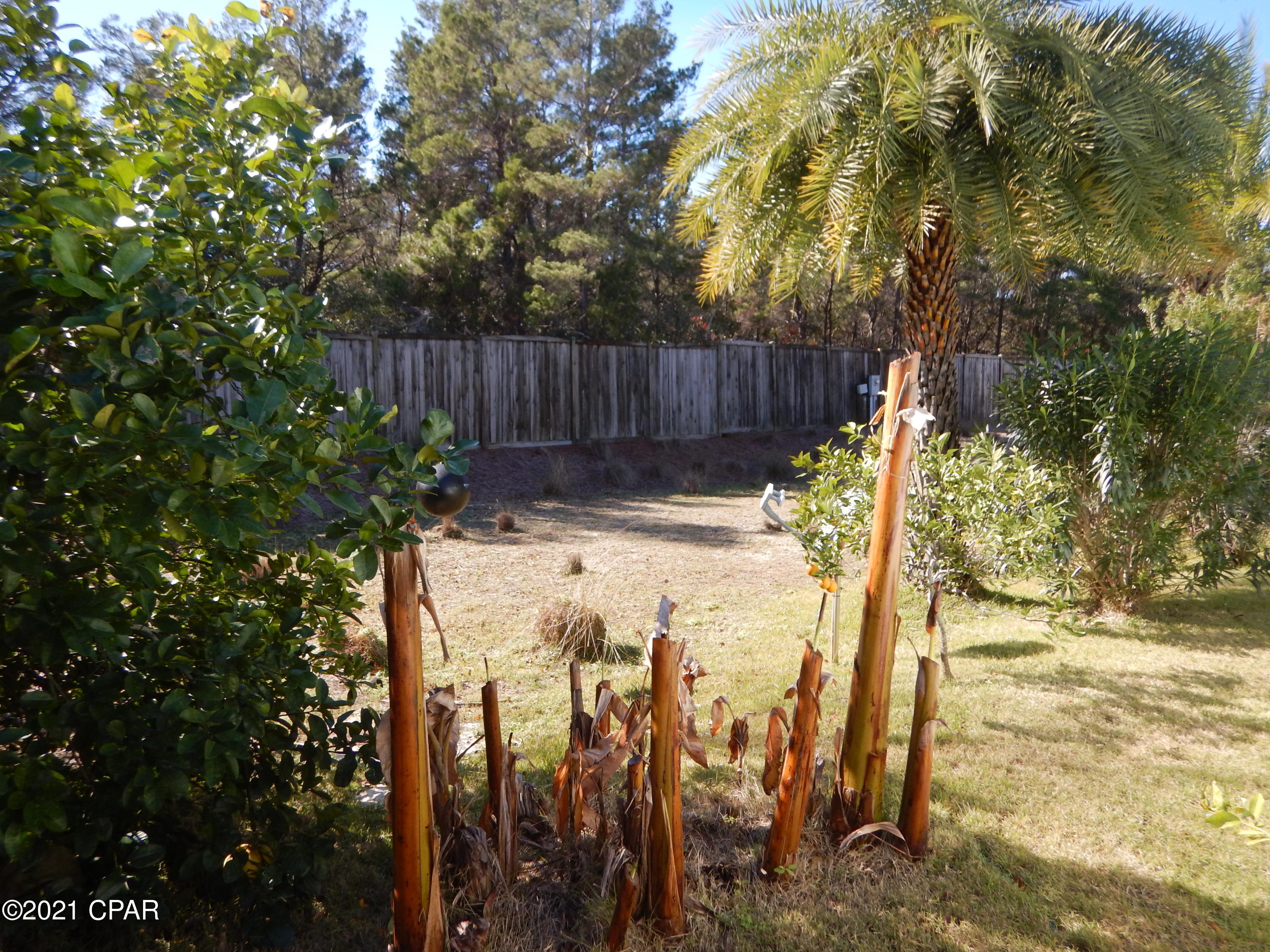 Paradise Grove - Residential