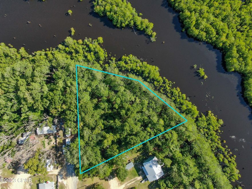 Beautiful lake front lot on Dead Lakes! This lot is the perfect spot for your dream home or weekend getaway. Spend your days kayaking or catching bass in the lake. Approximately 240ft of shoreline! This property is only 25 minutes from Panama City and 35 minutes from Panama City Beach. All measurements are approximate, verify if important.