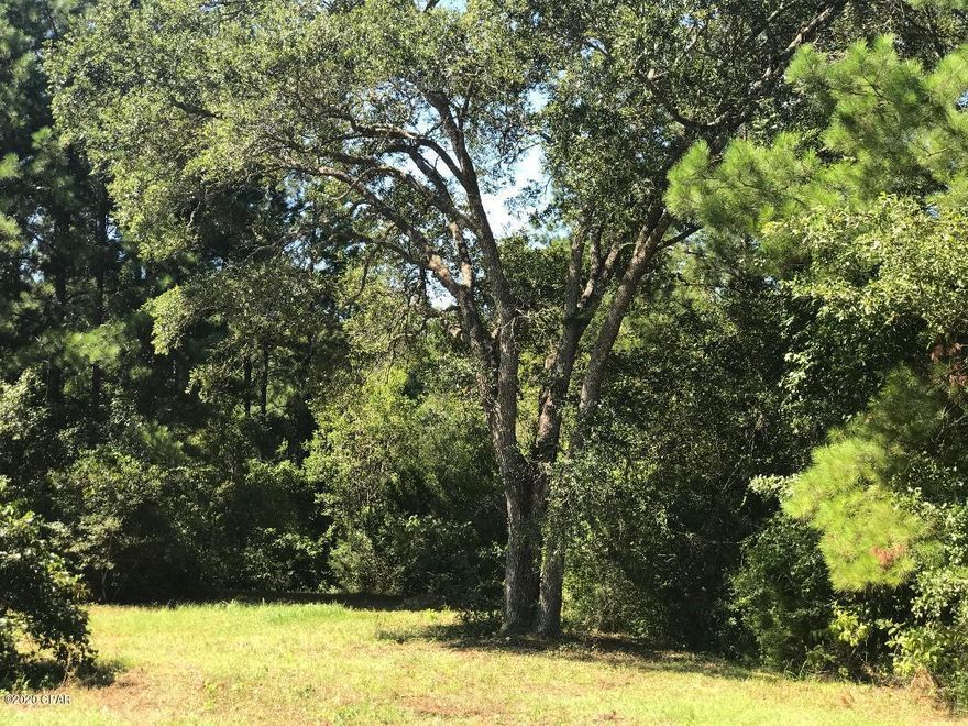 Wow! What a opportunity to purchase this beautiful 2.63 Acres!   plenty of room for you to build your dream home. Several large oaks through out the property. Subdivision has paved rd and underground utilities. Only minutes to I-10 and down town Chipley. And only 40-45 minutes to Northwest Fl Beaches International  Airport and beaches. Restricted Subdivision no mobile or modular homes allowed. More lots available .