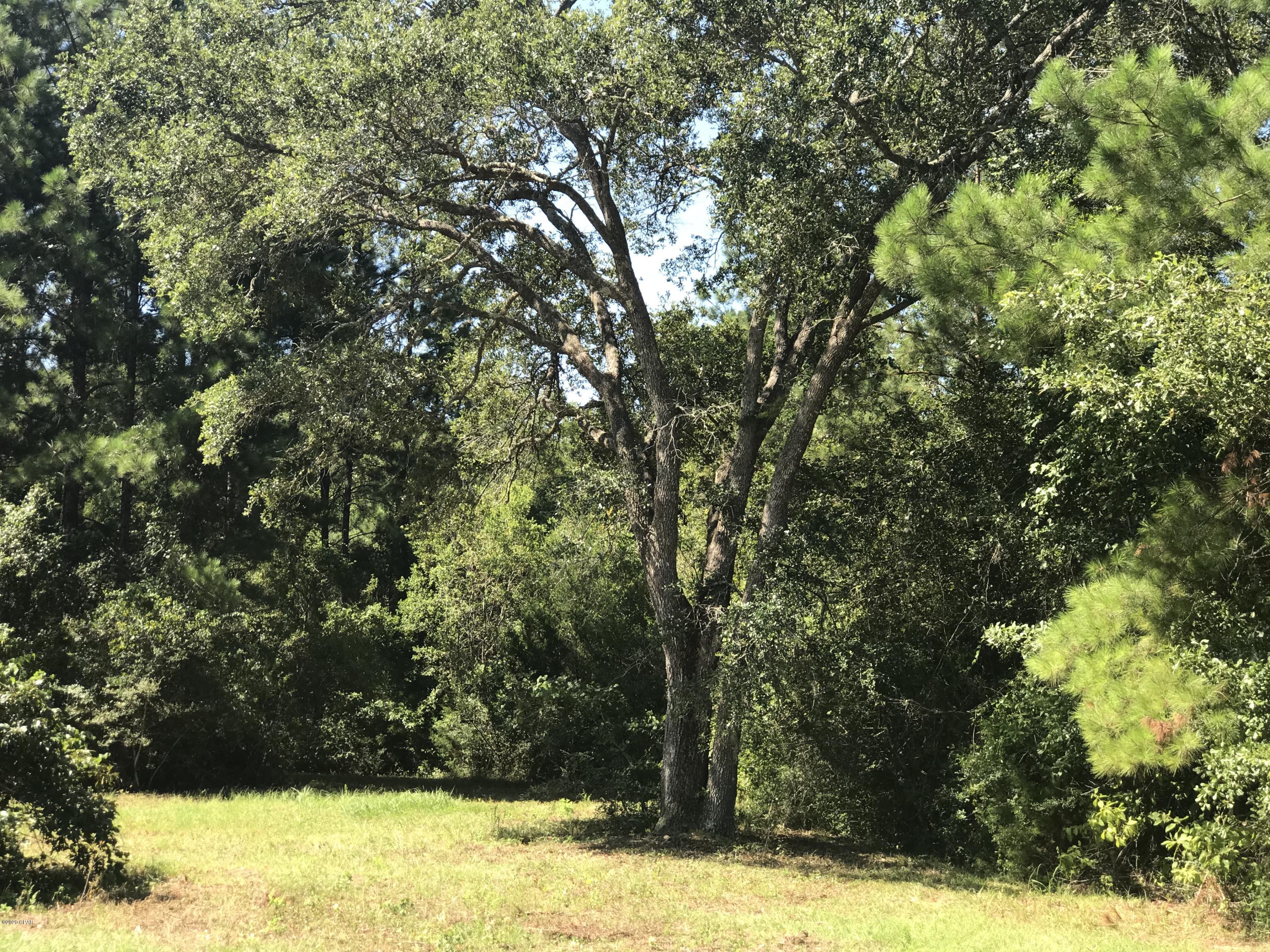 Kiersten Heights - Land