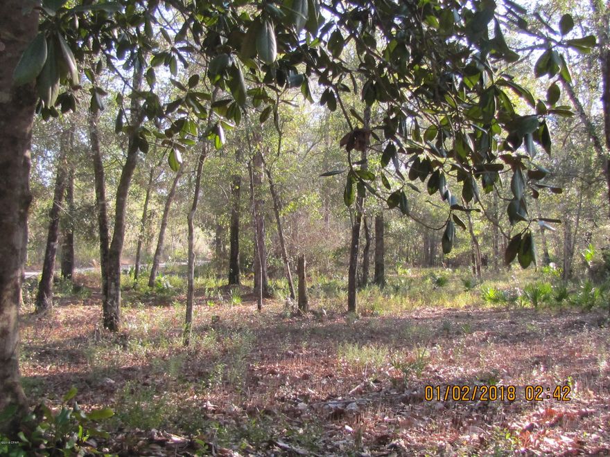 Country living not that far from town and beautiful beaches of Panama City.  25 minutes to the mall.  3 acres just off 231 would make a great new home site.  The property does have a well and septic that are not warranted in any way. There is a possibility of owner financing with a substantial down payment.