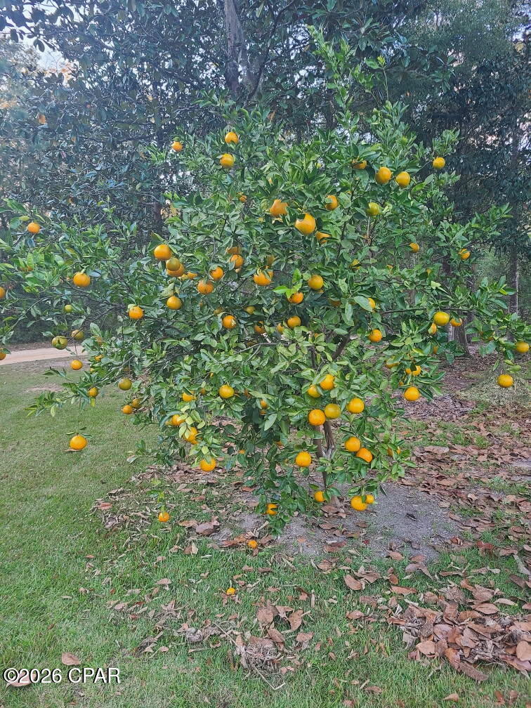 Paradise Oaks - Residential
