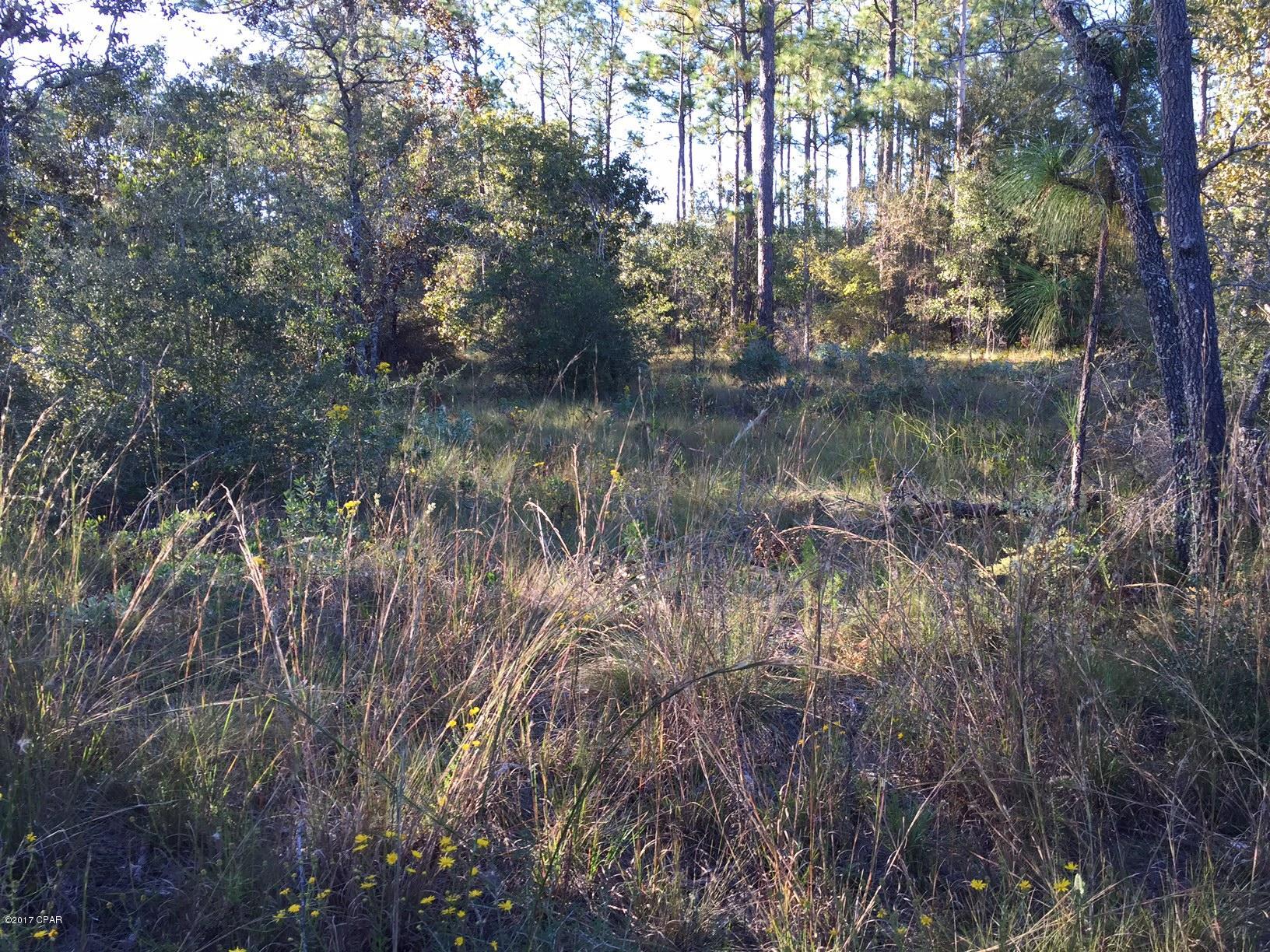 Leisure Lakes - Land