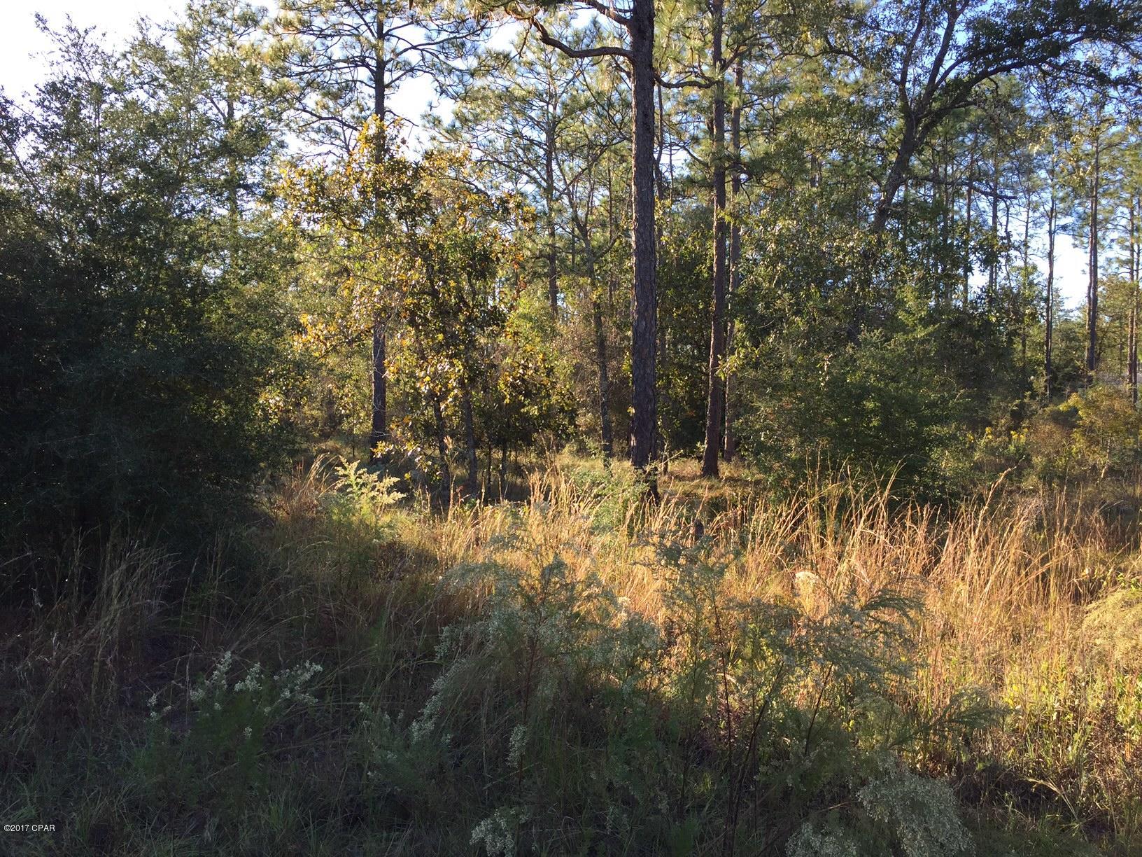 Leisure Lakes - Land