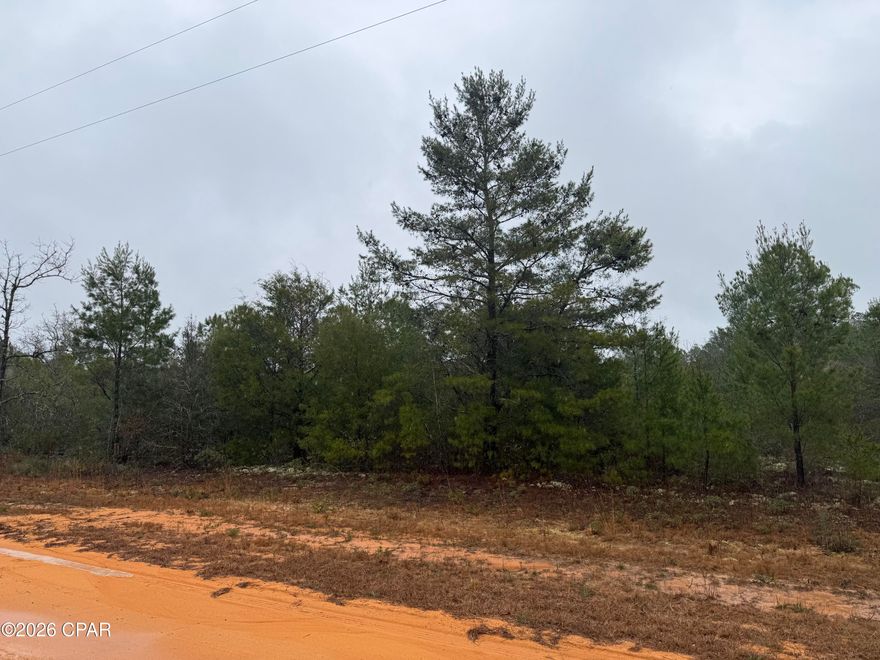 Great area for your home site. Build a new home or New mobile home here. County maintained road, with easy access to CLH Lodge or Fish Compass Lake. Excellent fishing, swimming, boating or enjoy a day at Lake McCormick at the pin-nic playground area with swimming or fishing. Volunteer Property Owners Association. Electric lines directly in front of the property.