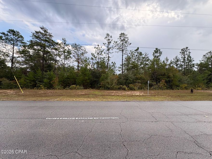 Looking for a building lot in Sunny Hills with power & water available? Look no further.... large 1/2 acre oversized lot that is build ready! Don't miss this exceptional opportunity to own a .51 acre building lot in Unit 6 of Sunny Hills, located at Lot 32 on Elkcam Blvd. This lightly treed, flat and level parcel offers an outstanding homesite with flexibility for a custom build with a spacious yard.

Backing up to a huge 214 acre Deltona owned parcel, this property provides excellent rear privacy.

Conveniently situated just off Highway 77 on Elkcam Blvd. the location offers quick access north to Chipley and south to Panama City and the Gulf Coast beaches. Water and power are available, making this lot ready for immediate development (buyer to verify all utilities).

With its oversized dimensions, rear privacy, strong location, and attractive price point, this property is ideal for builders, investors, or anyone looking to secure a premium homesite in a growing Northwest Florida community.

Priced to sell... bring your plans and start building your new home!