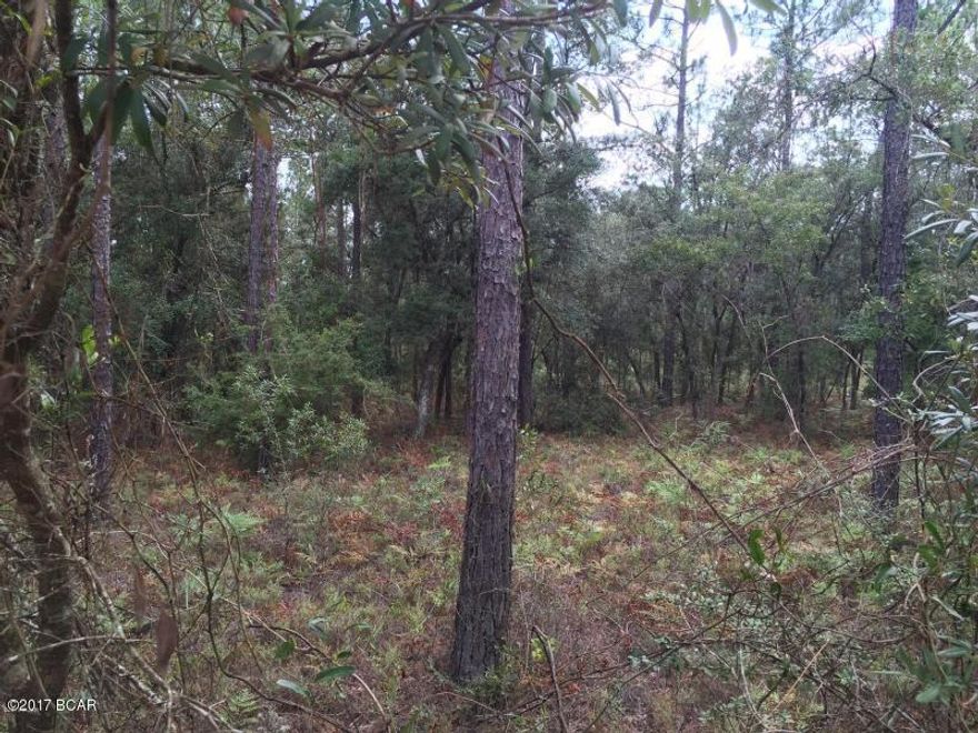 Ready to Build? Very nice buildable land that offers quite country living at its best. Build your dream home today, mobile homes allowed. Nice wooded 5 acres. This property is also located just a short drive to Panama City Beach home of the ''World's Most Beautiful Beaches'' and the new airport. Gorgeous lot, fantastic price! Adjacent to the property is 38,000 acres owned by the Northwest Florida Water Management District that is an unspoiled conservation area. Drive by and take a look.