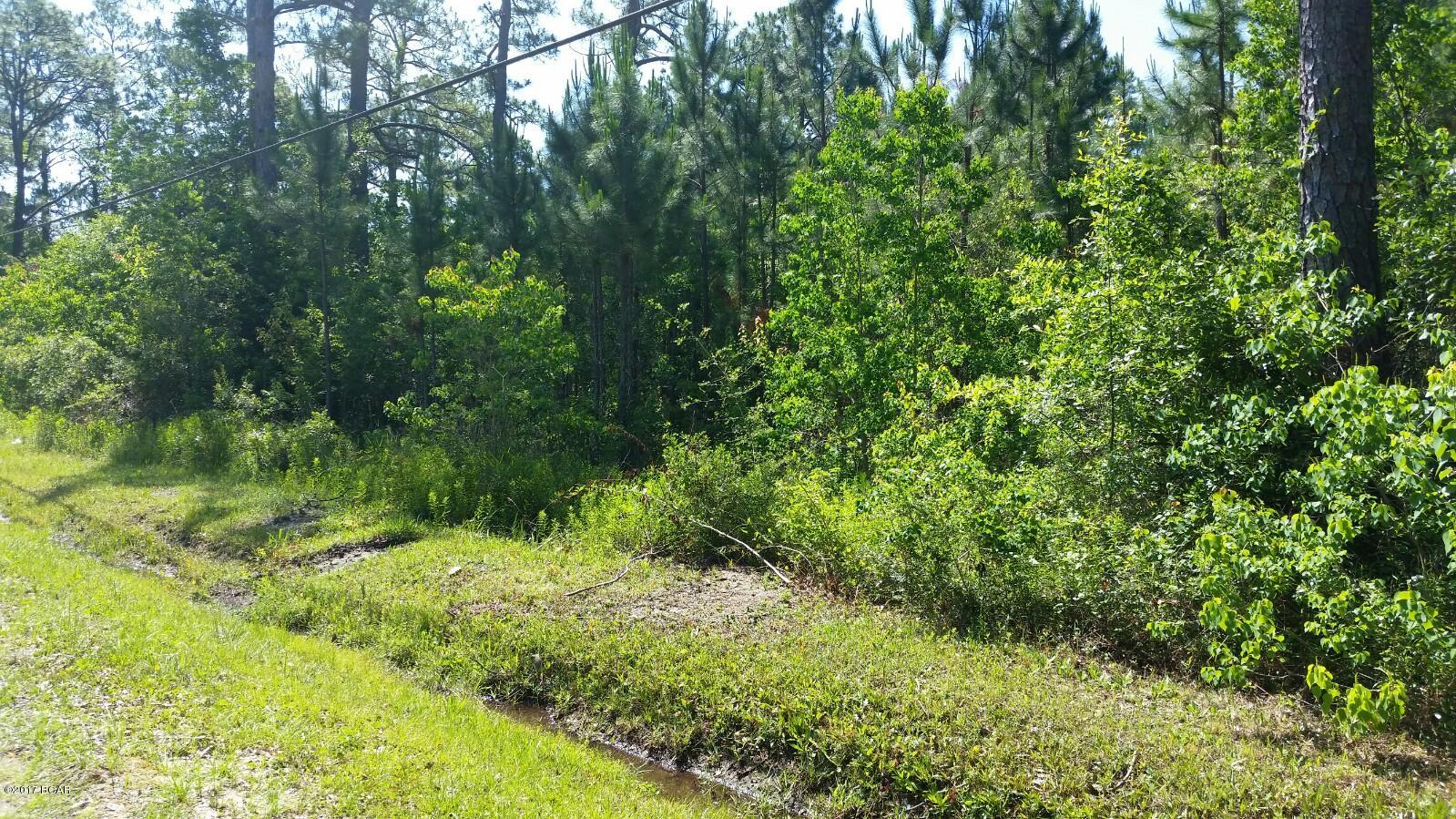 St A Bay Pecan & Fig Grove - Land