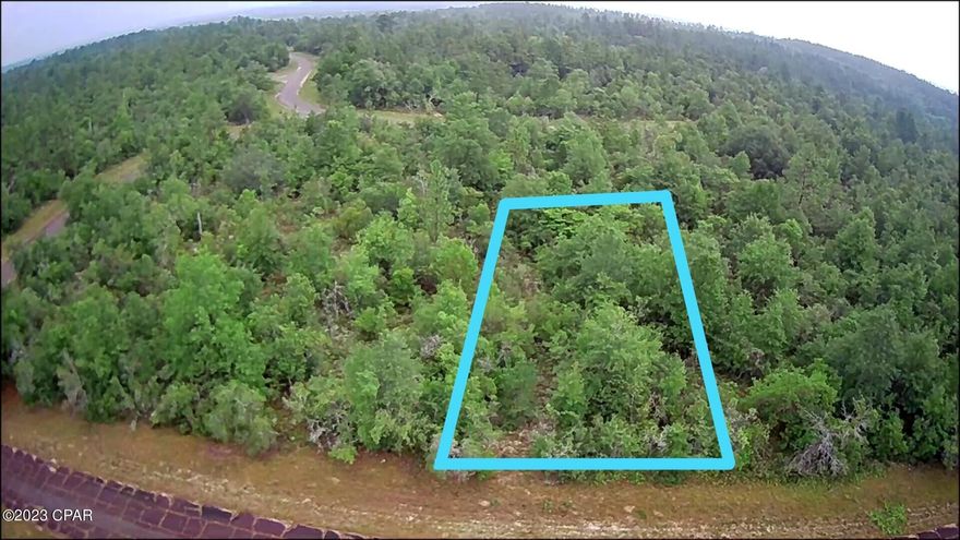 This just over a 1/4-acre lot in the popular Sunny Hills subdivision has a golf course, parks and numerous crystal-clear lakes in the area (see photos). It is an outdoors man's paradise. It is also home to the sugary white sands of Boat Lake swim park. You get all of this while not being in the middle of a largely populated area. Taxes include $31.91 MSBU annual assessment. There is an additional 1/4-acre lot available right beside this one that is for sale. The visual representations are to give you an idea of where the property is. A survey is recommended to know exactly how the property lines run. Please verify all information that is important to you.