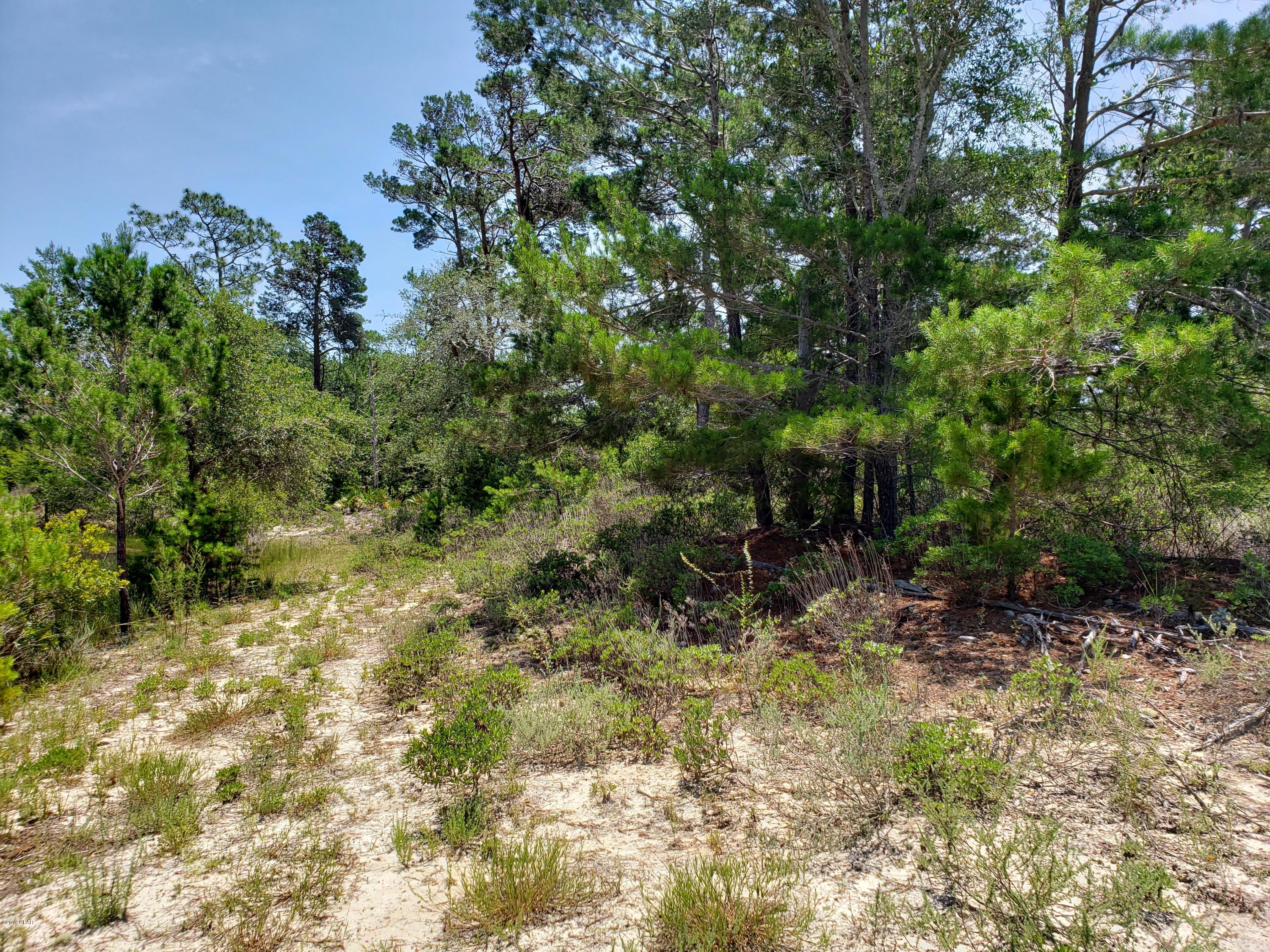 Wild Heron Phase I - Land