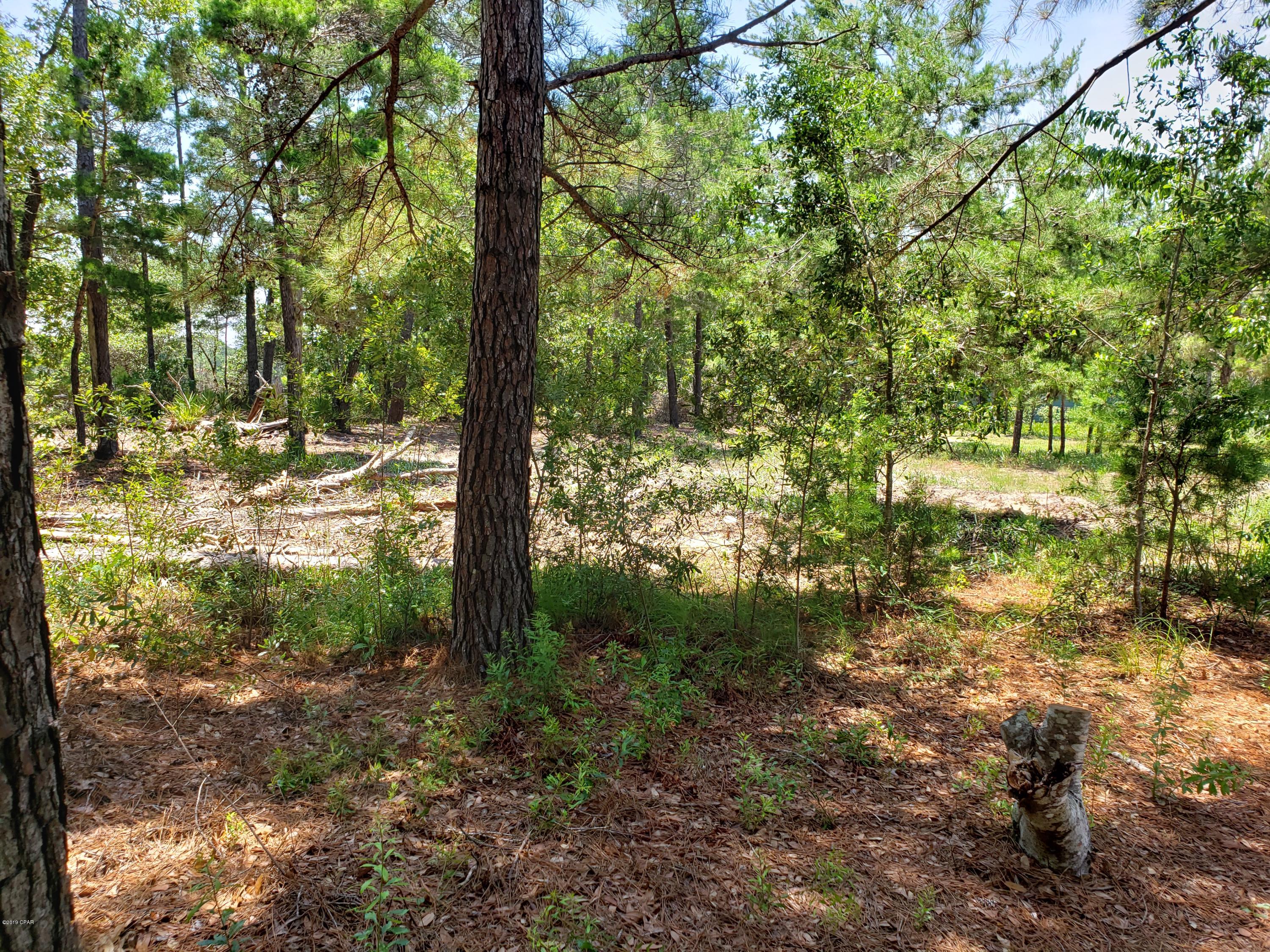 Wild Heron Phase I - Land