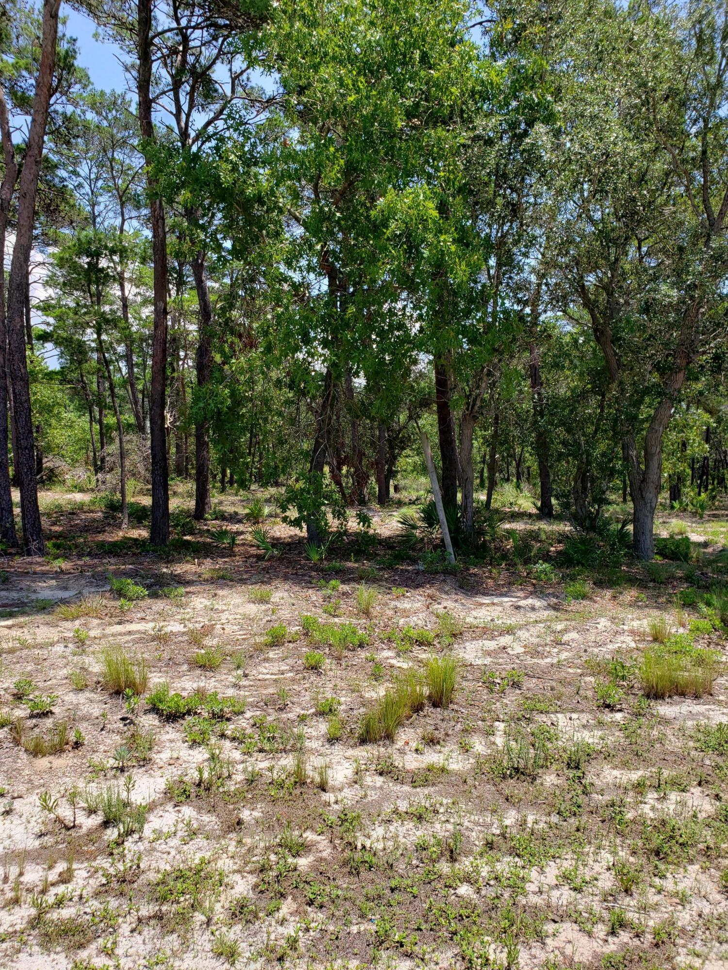 Wild Heron Phase I - Land