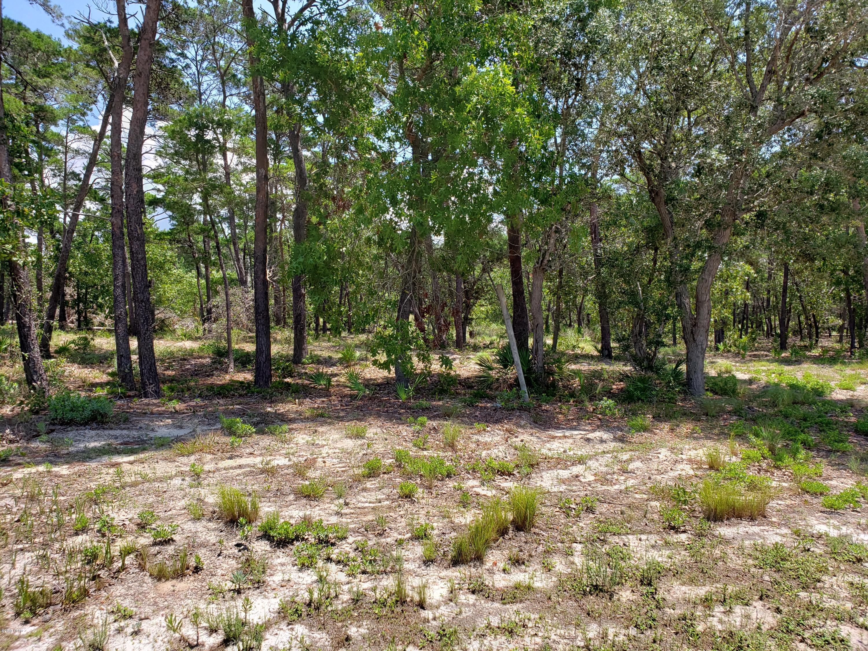 Wild Heron Phase I - Land