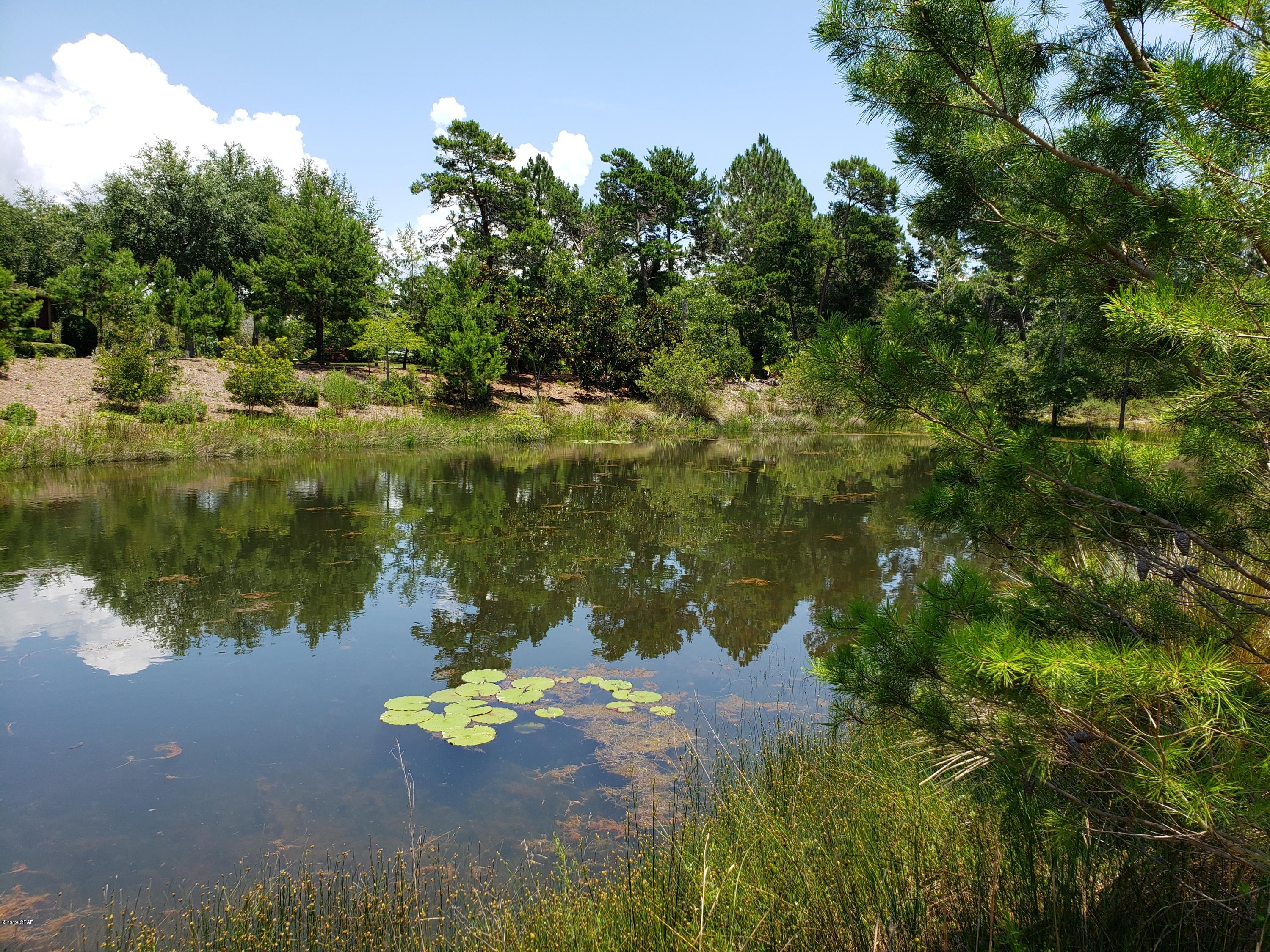 Wild Heron Phase I - Land