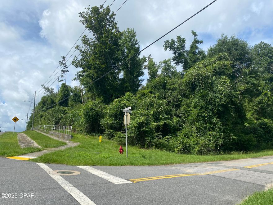 Tucked into an established area, this 1.82-acre wooded homesite gives you the space and flexibility that's getting harder to find. Whether you're ready to build now or planning for the future, this property offers a great balance of privacy and convenience.
Located just about a mile from Chipola College, you're close to town, schools, and everyday essentials.  The natural setting gives you a blank canvas to shape your homesite the way you want, with room for a home, workshop, or extra outdoor space.
If you've been looking for a beautiful, large lot in a centralized location of Jackson County, this one is worth a closer look.
Give us a call to walk the property or get more details.

Additional information:
*Oversized lot
*Great location - only a mile from Chipola State College
*Private and established area