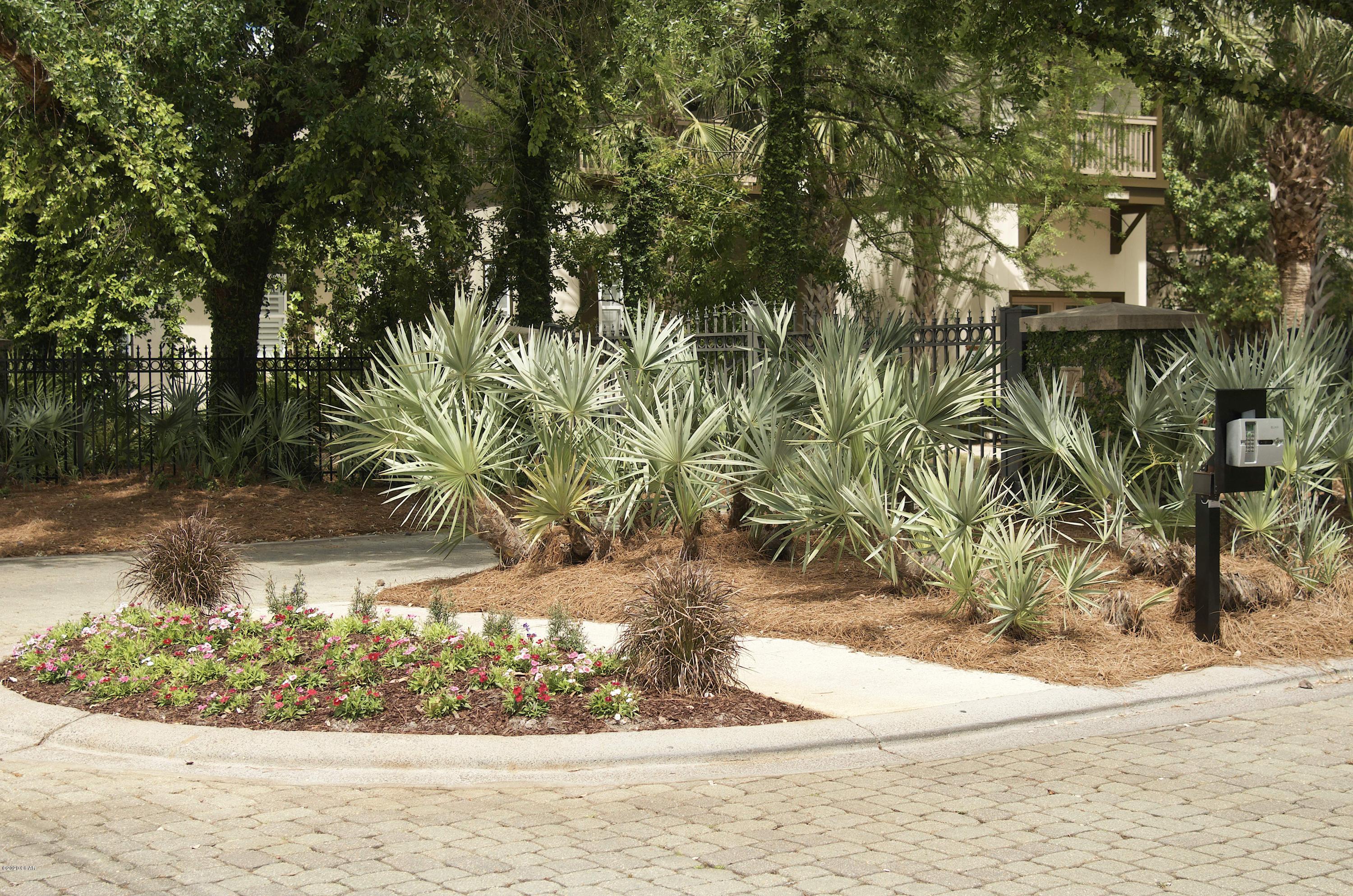 Martinique Phase II - Land