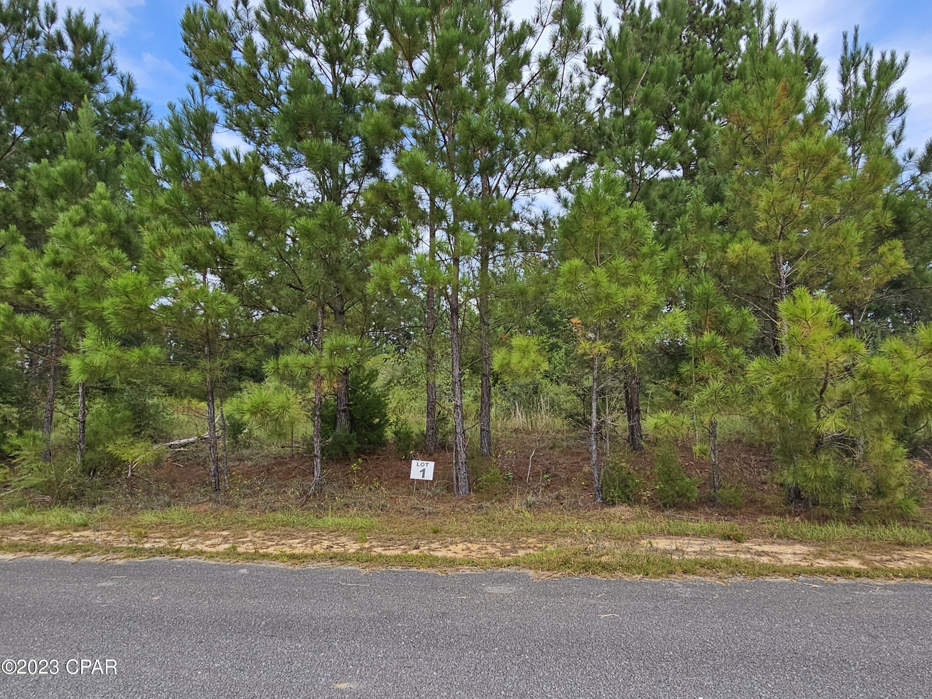 Kiersten Heights - Land