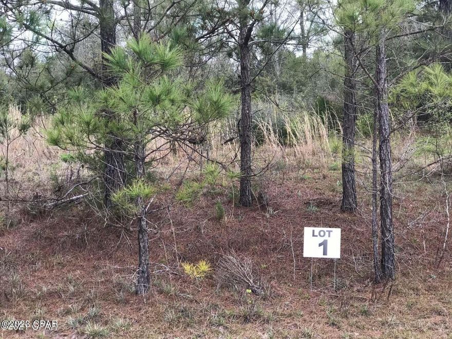If you are looking for the perfect location in a small subdivision this is it.  Located just off of Hwy 77 South of Chipley.  It is approximately five miles from I-10 and about 30-40 minutes to Panama City.  There are deed restriction which prohibit manufactured and modular homes.  Under ground utilities, paved roaded and multiple lots are available. Photos in the listing are from multiple lots that are available.
