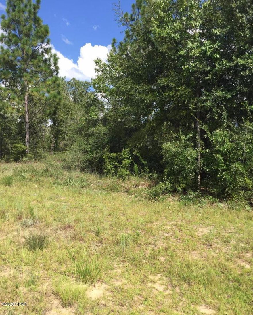 Ever wanted to build beautiful home on the large lot in secluded Sunny Hills? It is your chance! Don't miss out on this opportunity. It's far enough off the main road that you'll have all the privacy you want, yet still close enough to areas of commerce, work, and activity. Short drive from the airport and beautiful emerald waters of Panama City Beach beaches. The property is secluded and private, yet within 1/2 mile of the Sunny Hills Golf Course, a very popular 18 hole course. The property is almost 1/2 acre and an ideal location for a nice, quiet, country home. Near popular fishing and swimming spots Boat Pond and Gap Lake. Paved roads all the way to the property.
