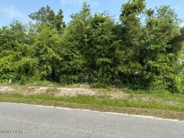 Callaway Forest U-2 - Land