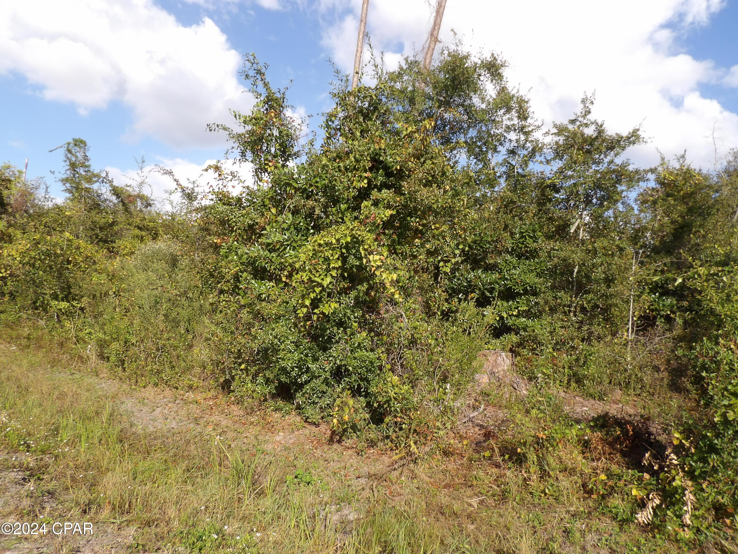 No Named Subdivision - Land