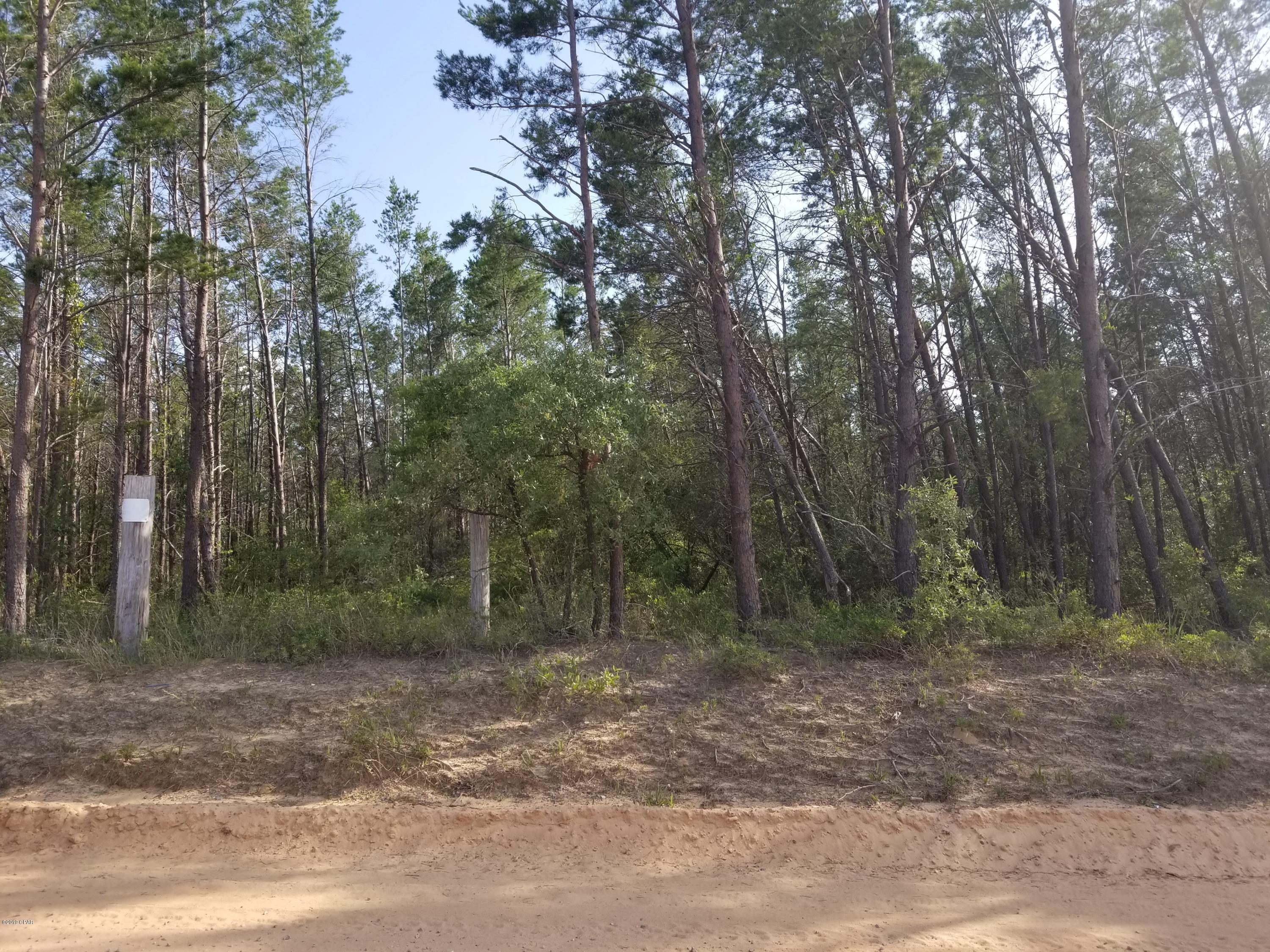 Long Lake Ridge - Land