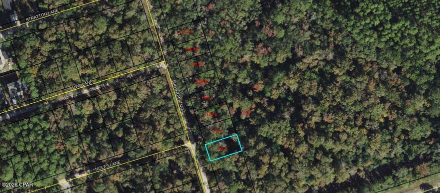 Vacant lot available on Fig Tree Ln in Crawfordville. Great opportunity for builders or investors in a growing area. Convenient and peaceful location just a short drive to the coast. Note: This listing is for one lot. A total of eight adjoining lots are available for purchase.

Buyer to verify all measurements, lot dimensions, and any information deemed important.