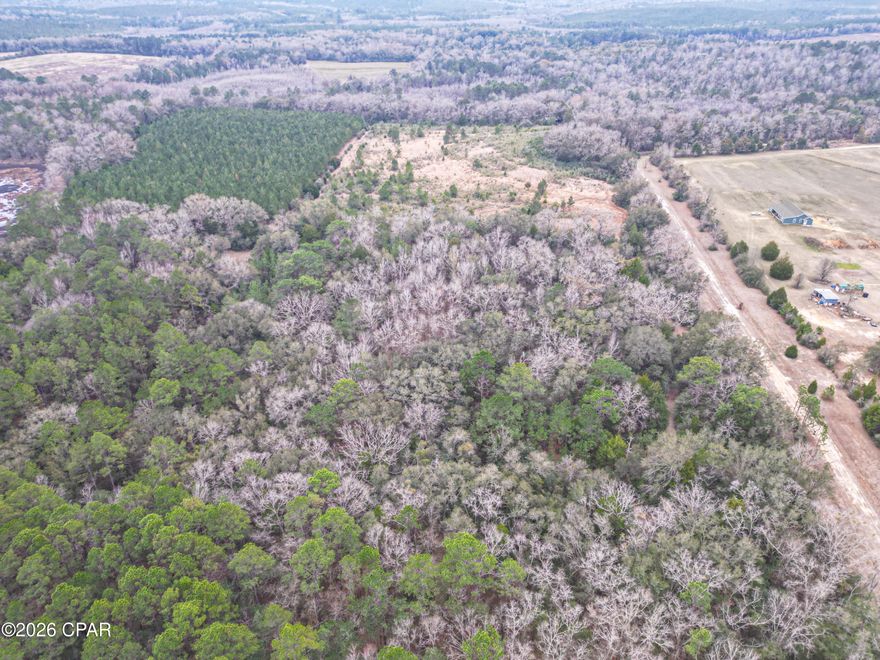 If you've been searching for acreage where you can build on your terms, this 30± acre tract on Stanley Road in Holmes County offers flexibility and privacy in a quiet rural setting. Properties of this size -- unrestricted and accessible -- are becoming harder to find in today's market.
Stanley Road, a county-maintained dirt road, runs through the south end of the property, providing convenient access across the tract. Approximately 25.5 acres lie north of the road, with the balance to the south. This division creates practical options -- build your home on one side while preserving the other for recreation, additional family homes, pasture, or simply added privacy.
The land is unrestricted, giving you the freedom to build a site-built home, place a mobile home, establish a family compound, or create a small farm. Numerous high-and-dry locations offer excellent homesite potential. Portions of planted pine combined with mixed cover provide natural privacy, while areas of volunteer growth make it easier to clear for a homesite, expand trails, or convert sections into open pasture for crops, horses, or livestock.
An established trail system runs throughout the property, allowing easy access by foot or ATV. These trails make the land simple to navigate and maintain while also enhancing its recreational appeal. The habitat supports whitetail deer, turkey, and other small game common to the Florida Panhandle, making this an excellent hunting property as well as a future homesite.
Beyond the property lines, you're within reach of some of the region's best outdoor destinations, including the Choctawhatchee River and Holmes Creek for fishing and paddling, Ponce de Leon Springs State Park for spring-fed swimming, Lake Jackson for boating, and Blackwater River State Forest for public hunting, hiking, and camping.
Whether you're ready to build now or prefer to hold for the future, this 30± acre parcel offers the kind of  freedom, flexibility, and long-term potential that continues to grow in value.
Key Features:
Unrestricted 30± Acres
Multiple High & Dry Build Sites
Established Trail System
Strong Wildlife Presence
Suitable for Home, Mobile Home, Farm, or Recreation
*Bonifay, FL - 10 miles
*Panama City, FL - 50 miles
*Dothan, AL - 45 miles